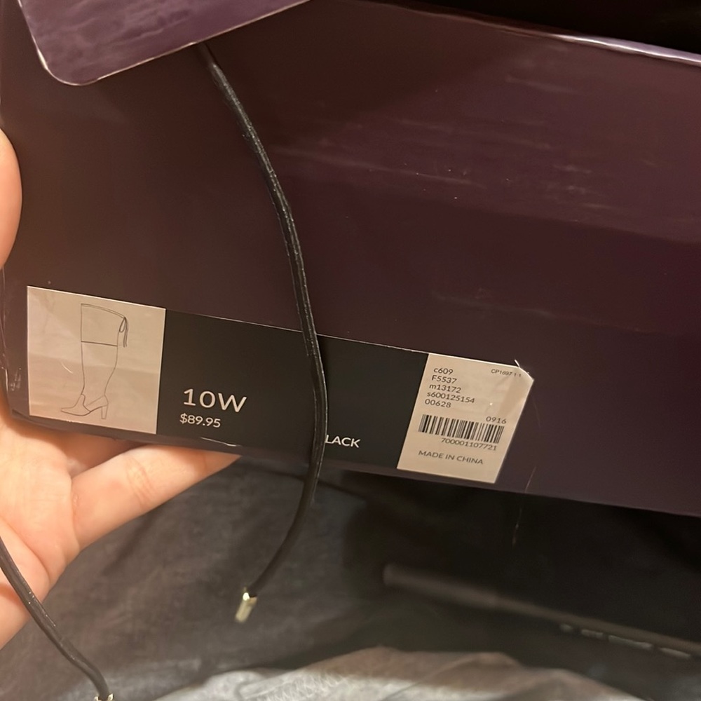 Lane Bryant thigh high heels